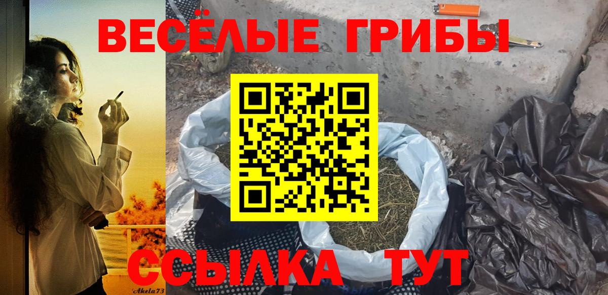 Галлюциногенные грибы Cubensis Коммунар